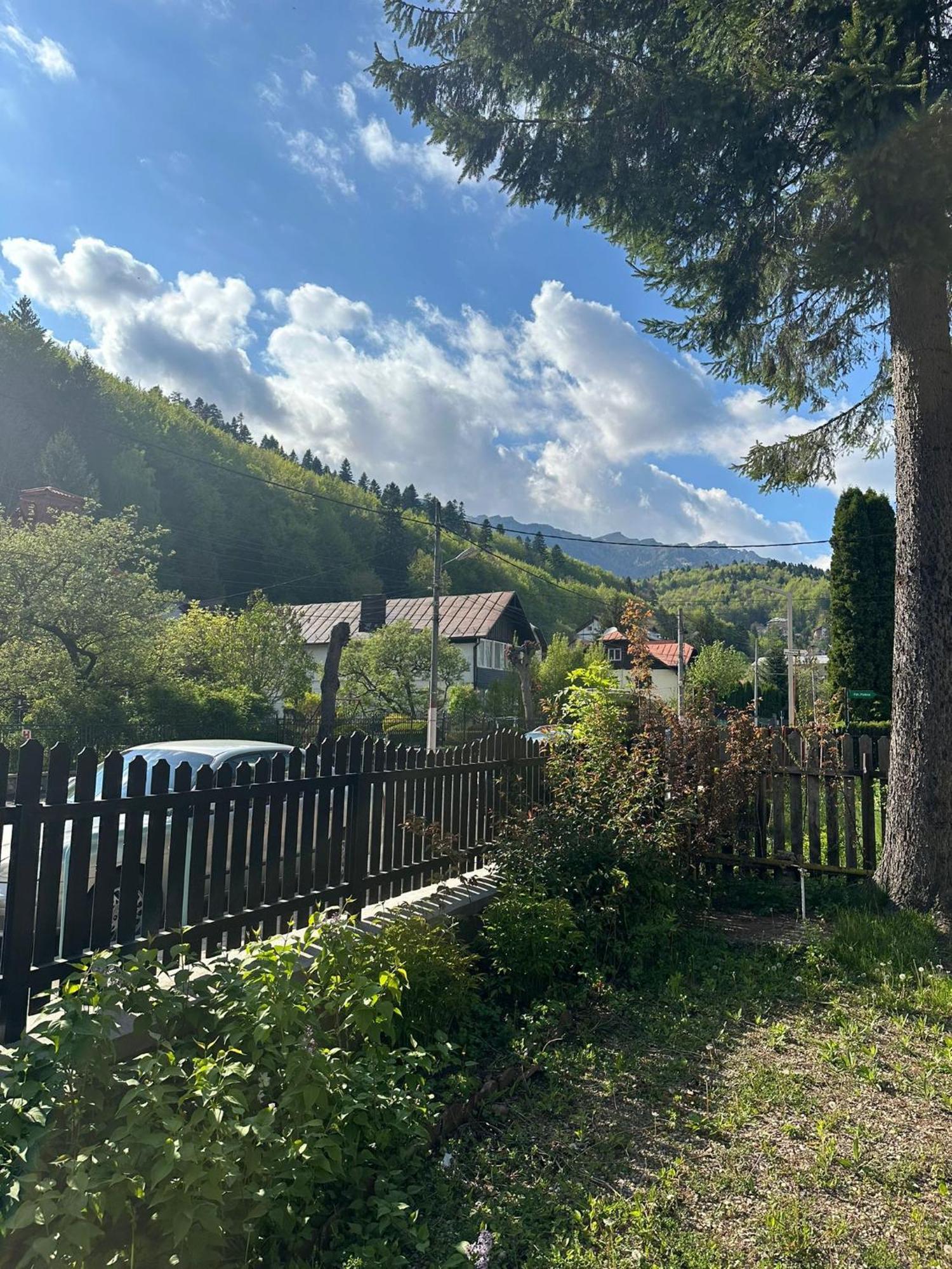Rapsodia Sinaia Bed and Breakfast Exteriör bild