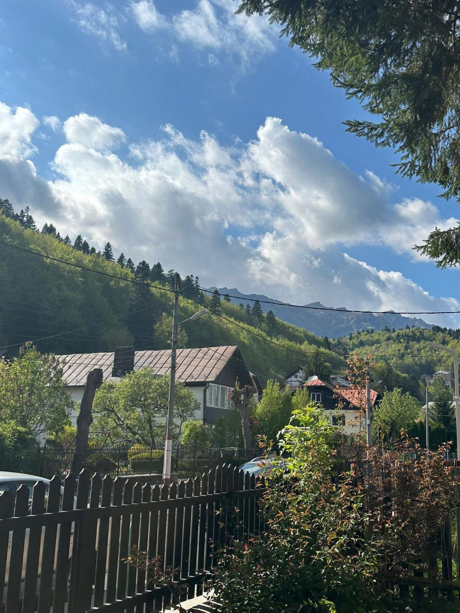 Rapsodia Sinaia Bed and Breakfast Exteriör bild