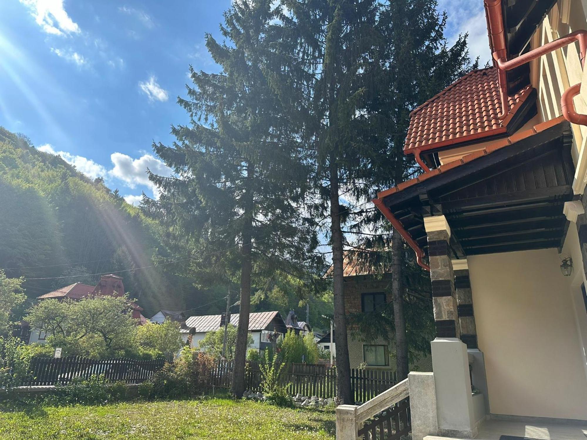 Rapsodia Sinaia Bed and Breakfast Exteriör bild