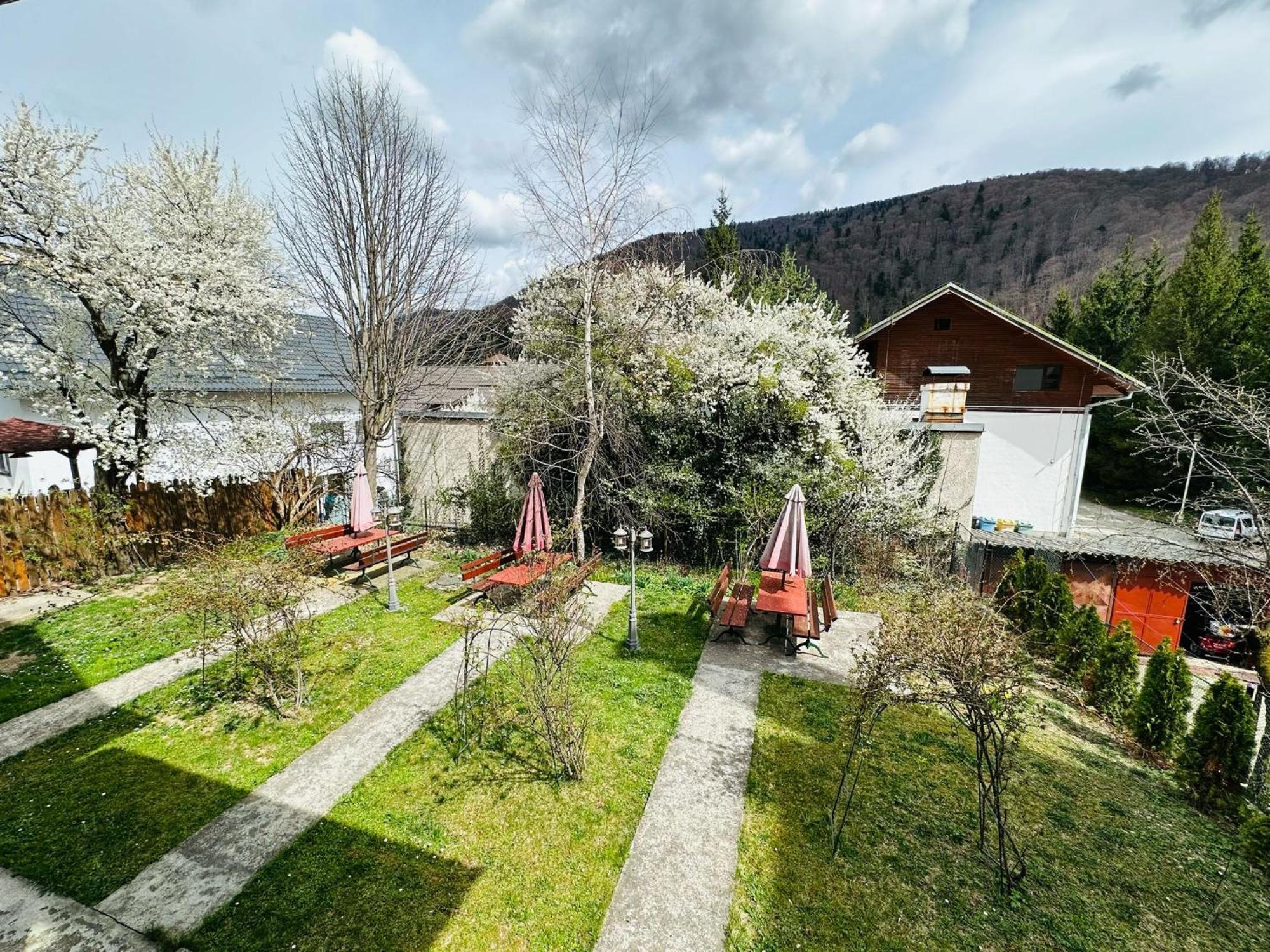 Rapsodia Sinaia Bed and Breakfast Exteriör bild