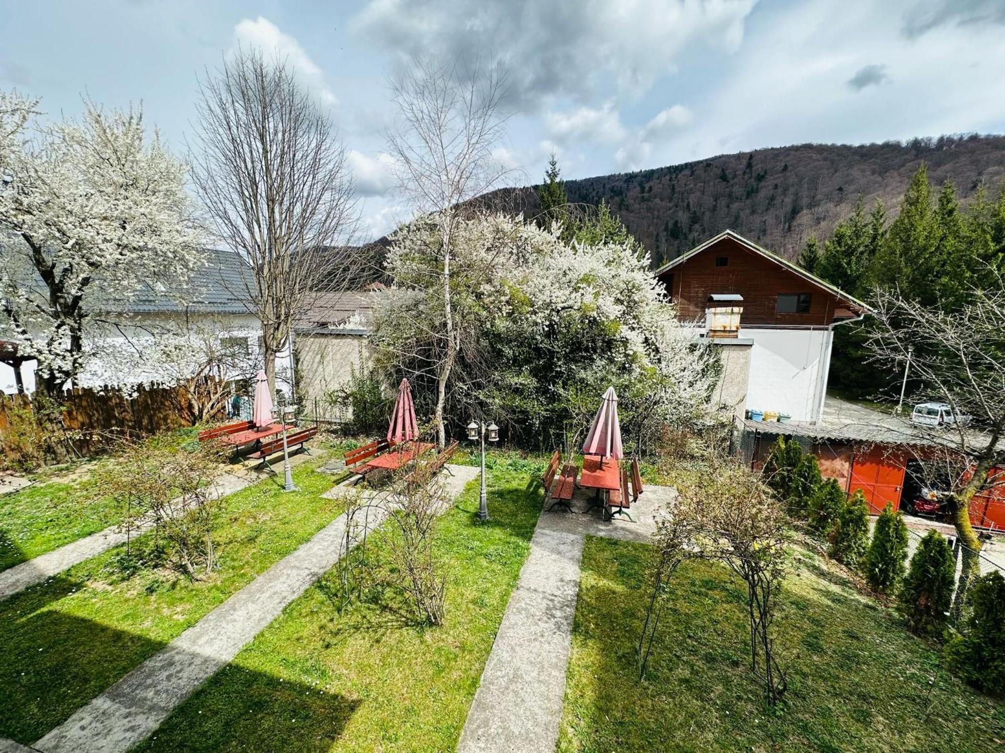 Rapsodia Sinaia Bed and Breakfast Exteriör bild