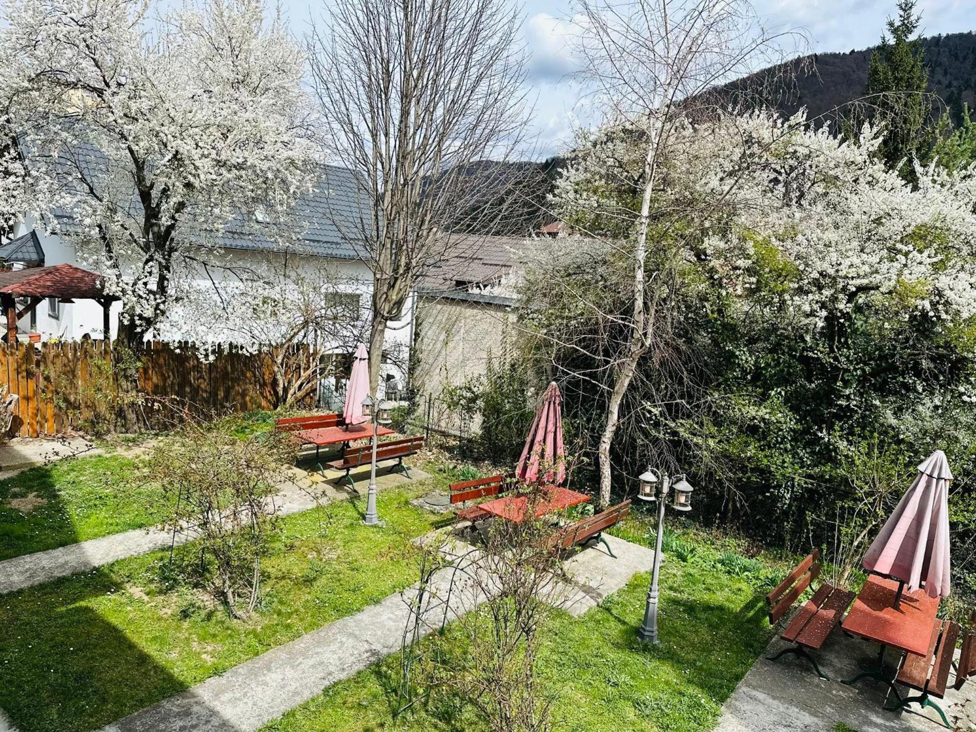 Rapsodia Sinaia Bed and Breakfast Exteriör bild